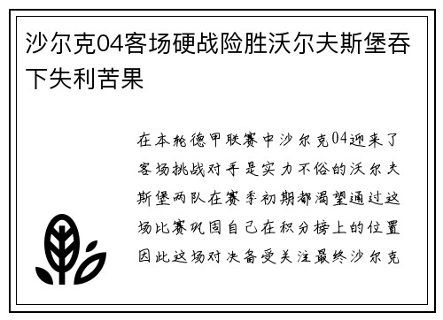 沙尔克04客场硬战险胜沃尔夫斯堡吞下失利苦果